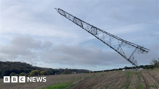 Final pylon toppled from Dorset beauty spot