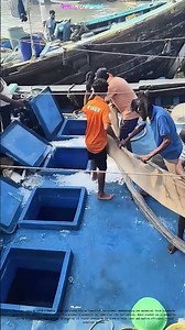 Crushing Ice with Power: How Industrial Machines Transform Blocks into Shaved Ice