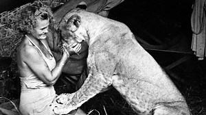 Vychovala lvici Elsu, s muži se ale Joy Adamsonová nepárala. Jednoho opustila na lodi – Lifee.cz