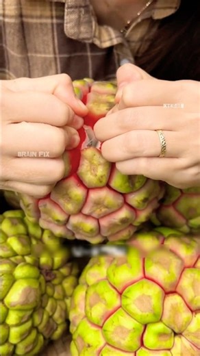 This fruit looks just like a pandanus fruit 😯