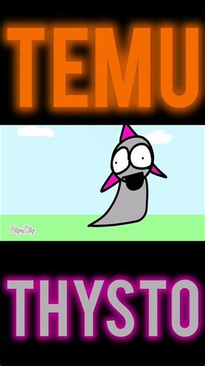TEMU THYSTO