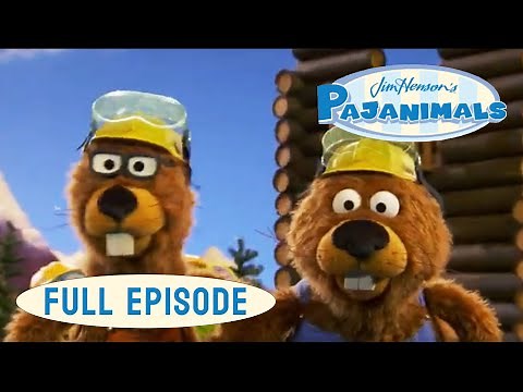 Pajanimals | Team Fort / Dentist Jitters | Jim Henson Family Hub | Kids Cartoon