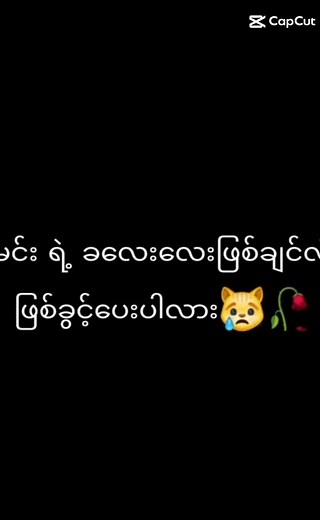 xmue xmue (@xmue.xmue04)’s videos with original sound - xmue xmue