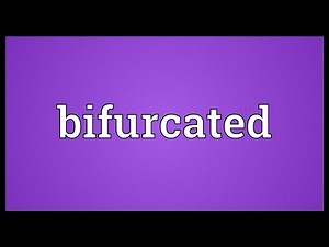 Bifurcated Meaning