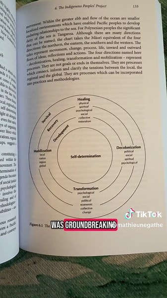 Decolonizing Methodologies: Indigenous Research Insights