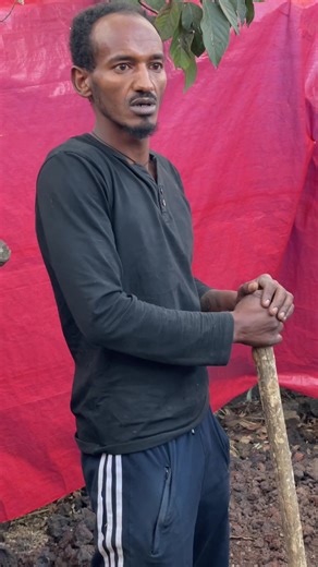 @Ethiopets @Ethio dog Daddy @feven @Ethio dogs market🇪🇹 @abrham_ Bonitua 💊💊💊 @homeofpuppieswhitey @ethiopianpets 2nd @sheger_petland @Afaruwa @Ethio k9 dog trianing center