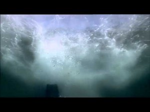 Woman scuba diver attacked and drowned