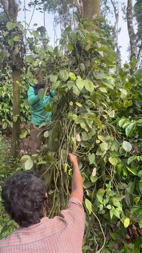 karthik on Instagram: "Day 45 Hard Challenge"