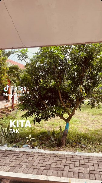 #lyrics #monokrom#tulus #fyp #foryoupage