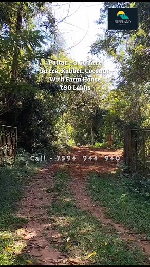 20K views · 368 reactions | 3.50 Acre Areca, Rubber, Coconut Farm...