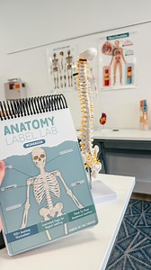 Spinal Column Memory Trick🦴 The spinal cord is a key part of the central nervous system; it transmits signals between your brain & body, controlling movement and sensation! REGIONS OF THE SPINE: 🦴Cervical (C1 - C7) 🦴Thoracic (T1-T12) 🦴Lumbar (L1-L5) 🦴Sacrum 🦴Coccyx #nursingschool #nurseinthemaking #nursingstudent #studentnurse #nursingschool #NCLEX #BSN #musculoskeletal #anatomyandphysiology #anatomyofthespine #RN #LPN | Nurse In The Making