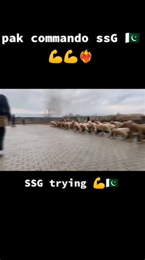 SSG Strength and Resilience in Pakistan