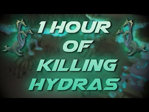 Slaying Hydras | Testing OSRS Wiki Money Making Methods