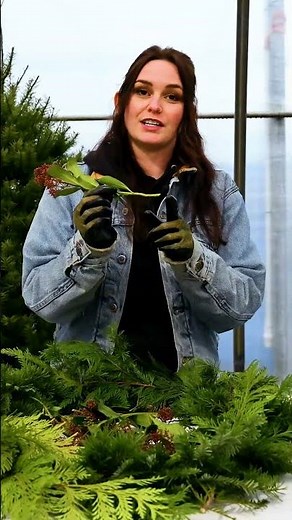 How to Start a Christmas Wreath | Quick Evergreen DIY 🎄