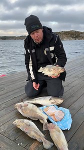 653K views · 5.9K reactions | Sinna Ruben! I det litt ampre hjørne men det er kanskje ikke så rart når villtorsken slik vil kjenner den står i fare.Enig med oss? Signer oppropet! https://www.underskrift.no/vis/12995/ | Norges Miljøvernforbund | Facebook