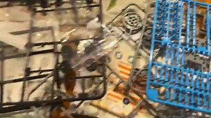 Watch The Stem Solar Robot Kit Is So Cool! on Amazon Live