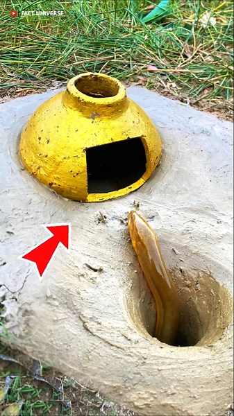 Survival Skills: SMART idea and USEFUL Snake Trapping 😱😰 #bushcraft​#camping​#outdoors​#survival​