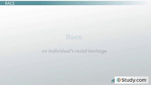 Diversity in the Workplace | Definition & Importance