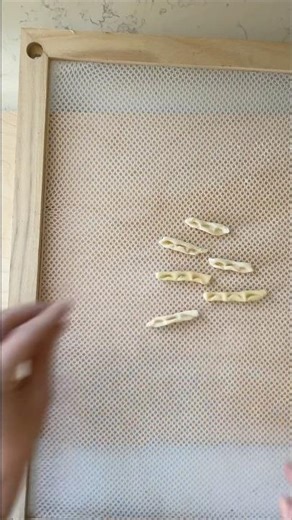 Apulian Cicatelle — Homemade Pasta from Puglia