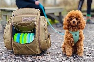 10 Best Disc Golf Bags in 2023 - Buyer's Guide - Backpack Beasts