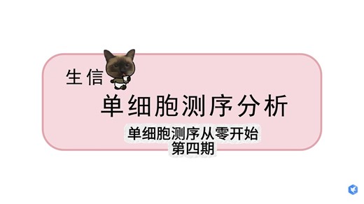 单细胞第四期！h5、csv、txt格式处理