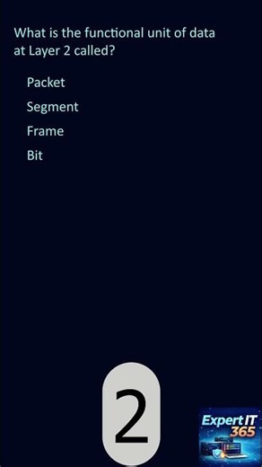 Frames, Packets, or Segments?