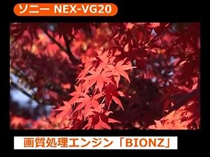 ソニー NEX-VG20(カメラのキタムラ動画_SONY)