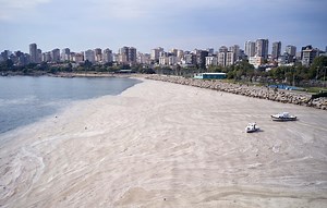 Record-setting blob of 'sea snot' has environmentalists concerned