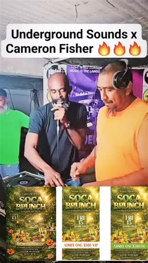 Vance River Inc. on Instagram: "🍹🌴SOCA BRUNCH : GARDEN EDITION 🍹🌴 Secure your tickets now 🎟️ #SOCABRUNCH #VANCERIVER"