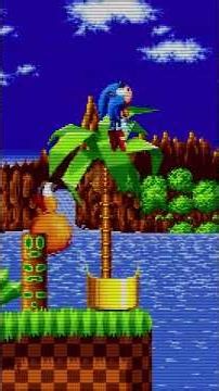 Sonic at FULL SPEED — Blink and You Miss It