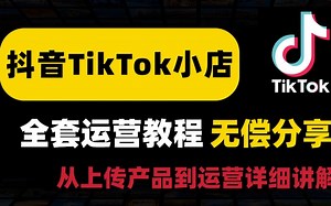 【2025最全版TK教程】deepseek做跨境电商！全阶段零基础运营教程，终于有把新手做tiktok的流程讲清楚了！