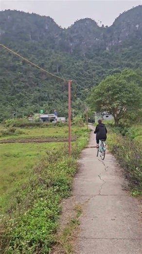 Plimbare printr-un sat vietnamez