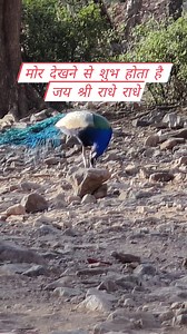 66K views · 6.5K reactions | Support Creator fans on Reels | Facebook