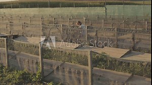 Snail farm. The process of growing snails. Snail farm general plan, people work on a snail farm Stock Video