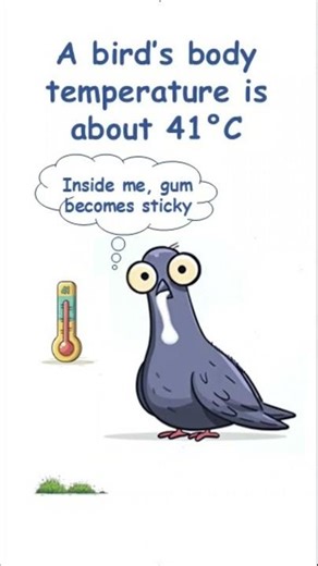 Why is gum dangerous for birds? 🌿🐦