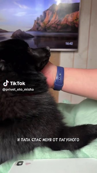 Миша делится историей из деревни