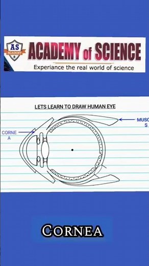 I Tried To Draw A Human Eye!🏆