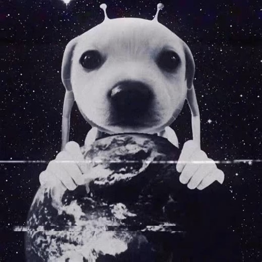 Gog the Alien on Instagram: "😈😈😈😈😈😈😈😈😈😈 #Gogthealiendog #67 #Funk #FunkNoCapCut #creepy #meme #capcut #gog #alien #dog #monstersinc #mikewazowski #dogsofinstagram #fyp"