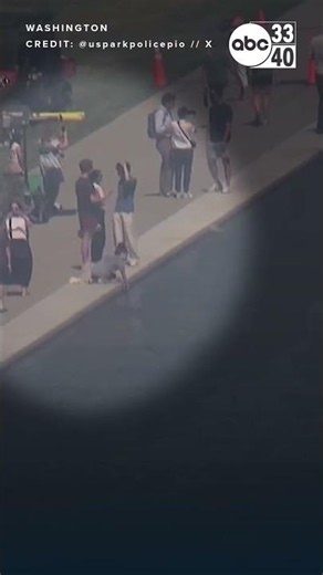 Reflecting Pool vandal sought