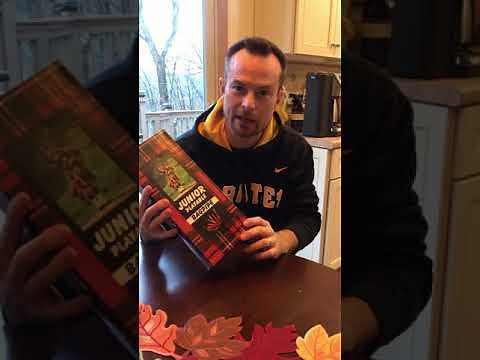 Junior children’s playable bagpipe