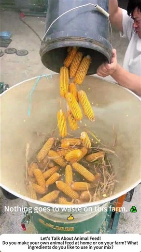 Making Animal Feed Pellets from Corn – Homemade & Efficient 🌽⚙️