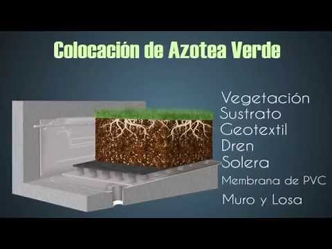 Instalación de Azoteas Verdes