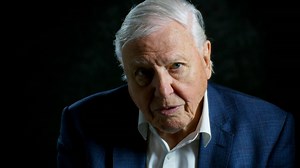 Butterfly Conservation President Sir David Attenborough gives stark climate emergency warning in new Netflix documentary 'David Attenborough: A Life on Our Planet' 👉 https://www.wwf.org.uk/updates/david-attenborough-life-our-planet #AttenboroughFilm | Butterfly Conservation