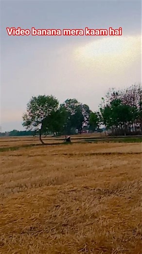video banana mera kaam hai #viralvideo