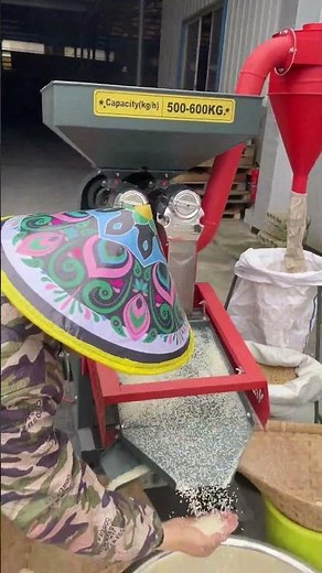 Rice processing equipment，600 kg per hour#agriculture #farmer #ricemill #machine #riceprocessing