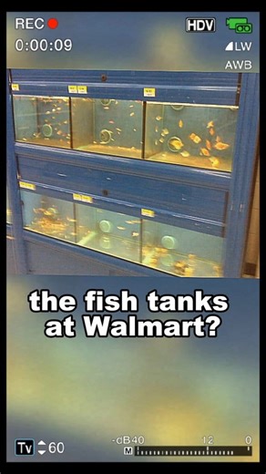 462K views · 17K reactions | Remember the fish tanks at Walmart? #nostalgia #throwback #walmart #usa #80s #90s #2000s #childhoodmemories | 80s 90s Throwback | Facebook