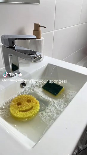 Effective Sponge Disinfection Tips