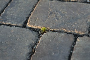How to Install Pavers