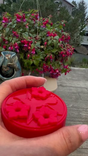 By popular demand and hummingbird approved! Custom hand feeders are now available! Link to my shop is in my bio. Thank you friends for all your support! ❤️🥹🫶#fypシ #fyp #hummingbirdsugarmama #hummingbirdsoftiktok #hummingbirds