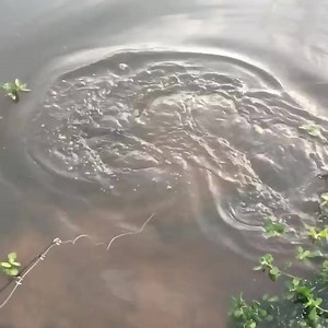 126K views · 1.1K reactions | First turtle knockout of the year #turtleknockout via thefishwhisperer1 at bit.ly/thefishwhisperer - SUBMIT your awesome videos, clips to be shared on Thrill On right HERE: bit.ly/2lQMGyd | Thrill On Fishing | Facebook